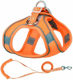 Monkimau Hunde-Geschirr Geschirr für Hund und Katze mit Leine - XXXS in orange, Robust – Bild 1 von 5