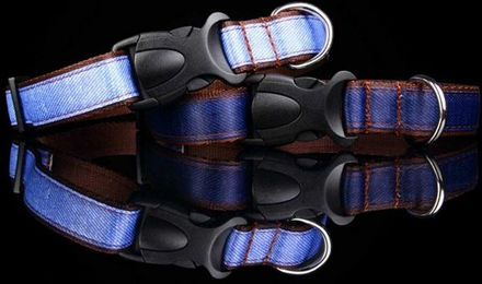 Produktbild von Monkimau Hunde-Halsband aus Nylon mit Jeansmotiv