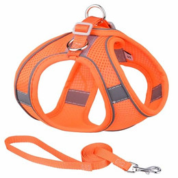 Produktbild von Monkimau Hundegeschirr atmungsaktiv mit Leine für mittelgroße Hunde orange L