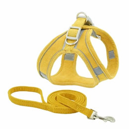 Produktbild von Monkimau Hundegeschirr mit Leine für kleine Hunde und Katzen - 150 cm