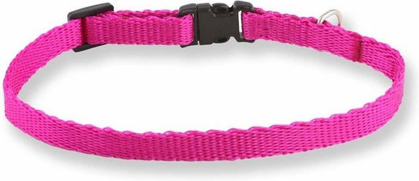 Produktbild von Monkimau Hundehalsband aus Nylon verstellbar - 1 Stk.