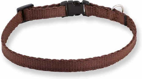 Produktbild von Monkimau Hundehalsband aus Nylon verstellbar - 1 Stk.
