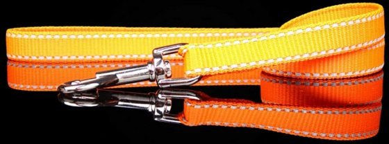Produktbild von Monkimau Hundeleine aus Nylon mit Reflektor
