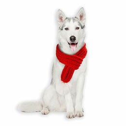 Monkimau Hundeschal für große Hunde warm Loop in rot – Bild 1 von 5