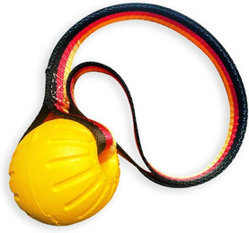 Produktbild von Monkimau Outdoor-Spielzeug Hundespielzeug unzerstörbar - Hunde