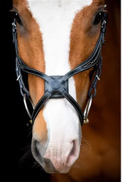 Montar Reittrense Lyon Fig 8 Jumping ECO vegan – Bild 1 von 3