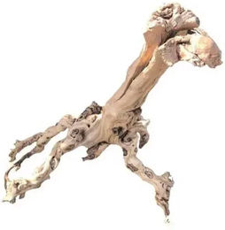 Produktbild von Mopavigne Extra Wurzel Typ 1 Aquavie