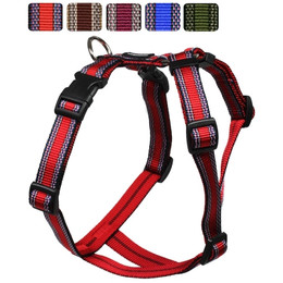 Produktbild von Mops Hundegeschirr Muster