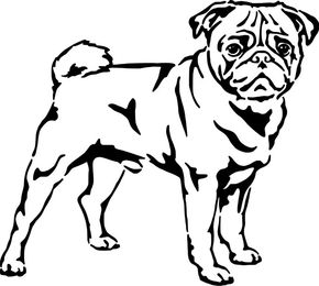 Produktbild von Mops stehend Grafiklizenz