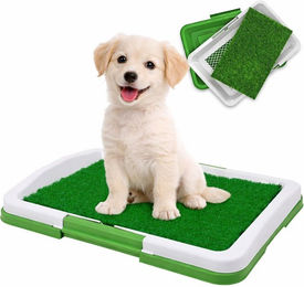 MOPUEA Hundetoilette Welpentoilette mit Grasmatte Hundeklo für kleine Hunde Indoor, für Wohnung Balkon und Terrasse mit Kunstrasen Weiß/Grün – Bild 1 von 5