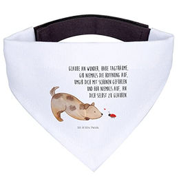 Mr. & Mrs. Panda Hundefliege Hund Marienkäfer Weiß – Bild 1 von 5