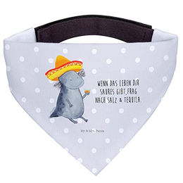 Mr. & Mrs. Panda Hundehalstuch Axolotl Tequila für große Hunde – Bild 1 von 8