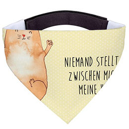 Mr. & Mrs. Panda Hundehalstuch L - Katzenmotiv Gelb Pastell – Bild 1 von 8