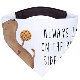 Mr. & Mrs. Panda Hundehalstuch M mit Hundekeks-Motiv – Bild 1 von 7