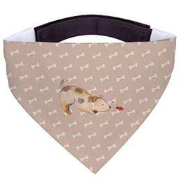 Mr. & Mrs. Panda Hundehalstuch S Marienkäfer Motiv – Bild 1 von 5