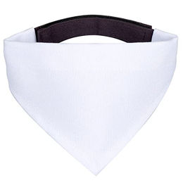 Mr. & Mrs. Panda Hundehalstuch Skorpion Sternzeichen Classic Weiß – Bild 1 von 8