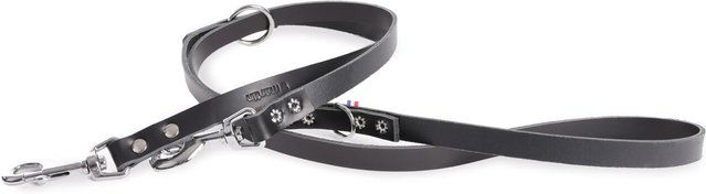 Produktbild von Multifarbene Lederleine für Hunde Martin Sellier 499