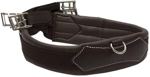 Produktbild von Multifunktionale Pferdegurt ThinLine