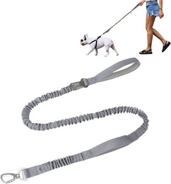 Produktbild von Mutig Hundeleine Verstellbare Doppelleine und Freihandleine mit gepolstertem Griff - 125 cm