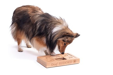 Produktbild von My Intelligent Dogs Interaktives Hundespielzeug Intelligenz Sudoku Small Advanced