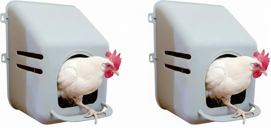 Produktbild von MYPETS Hühnerstall Hühnernest Legenest Kunststoff Abrollnest Eierbox Geflügel, Hühner Wand Nest