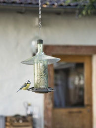 MaBe Vogelfutterstelle mit Windlicht aus Beton in Bordeaux – Bild 1 von 4