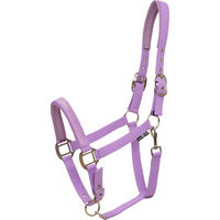 Produktbild von Malva Pretty Girl Halfter und Stricke für Pferde in Lila und Silber aus Neopren