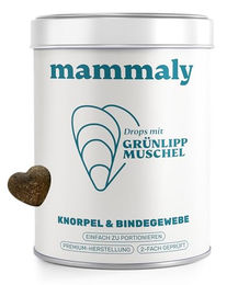 mammaly Grünlippmuschel Gelenk-Leckerli für Hunde 170g – Bild 1 von 10