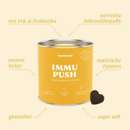 mammaly Immu Push 14-in-1 Immunsystem Hundeleckerli mit Hagebutte und Granatapfel 110g - 110 g – Bild 1 von 2