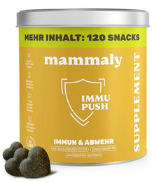 mammaly Immu Push Funktionssnack für Hunde zur Unterstützung des Immunsystems 350g ohne Zucker und Zusatzstoffe – Bild 1 von 9