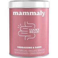 Produktbild von mammaly Lucky Belly Probiotika Funktionssnack für Hunde mit Huhn 175 g
