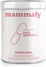 Produktbild von mammaly Präbiotika Magen-Darm-Verdauungshilfe 110g