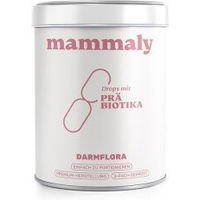 Produktbild von mammaly Präbiotika Magen-Darm-Verdauungshilfe 110g