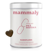 Produktbild von mammaly Probiotika-Drops für Hunde zur Unterstützung der Magen-Darm-Flora 170g