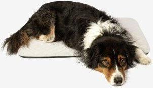 Manuly Hundematte Set mit selbstaufblasender Isomatte und kühlendem wasserabweisendem Bezug in Größe M – Bild 1 von 6