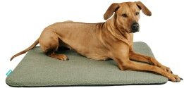 Manuly Selbstaufblasende Hundematte mit Teddy-Plüschbezug und Tragetasche Größe L 100x70x3,5cm – Bild 1 von 4
