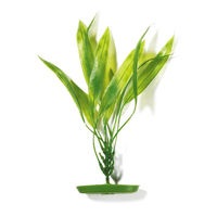 Produktbild von Marina Aquariumpflanze Amazon Sword Plant lebende Pflanze grün
