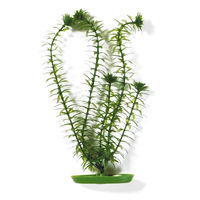 Produktbild von Marina Aquariumpflanze Anacharis für Aquascaper