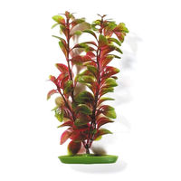 Produktbild von Marina Aquariumpflanze Red Ludwigia Aquascaper 20 cm