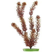 Produktbild von Marina Aquascaper Foxtail Kunstpflanze für Aquarien 30cm