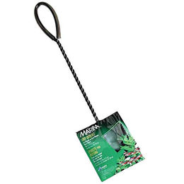Produktbild von Marina Fischkescher Verde 5 cm Grün Schwarz