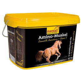 Marstall Amino-Muskel Pferdefutter Nahrungsergänzung zum Muskelaufbau 3,5kg - 3,5 kg – Bild 1 von 5