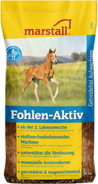 Marstall Fohlen Aktiv Müsli für die Aufzucht getreidefrei 20 kg – Bild 1 von 9