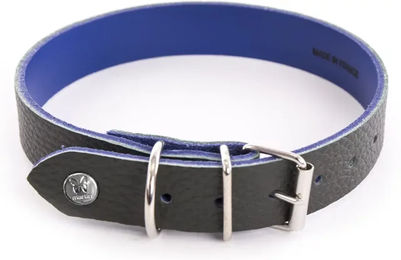Produktbild von Martin Sellier Allure Hundehalsband aus Leder 30 cm