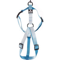 Produktbild von Martin Sellier Hundegeschirr aus Nylon verstellbar Blau XS Mini