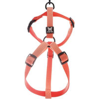 Produktbild von Martin Sellier Hundegeschirr aus Nylon verstellbar Orange XS Mini
