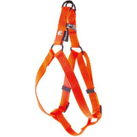 Produktbild von Martin Sellier Hundegeschirr Baud Classic Nylon für mittlere Rassen Orange