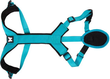 Produktbild von Martin Sellier Hundegeschirr Ccross aus Nylon in Türkis Größe XL