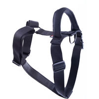 Produktbild von Martin Sellier Hundegeschirr Intervent XL aus Nylon in Blau oder Schwarz