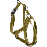 Produktbild von Martin Sellier Hundegeschirr Reflex mit Nylon in Grün Gold Größe L